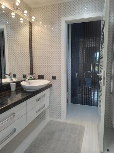 ein Bad mit einem Waschbecken, einem Spiegel und einer Dusche in der Unterkunft Villa Solva in Golubinoye