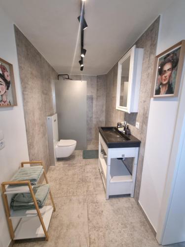 a bathroom with a sink and a toilet in it at Charmantes Eifel Ferienhaus an der Schavener Heide in Mechernich