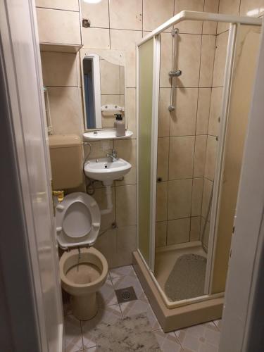 y baño con aseo, lavabo y ducha. en Sarajevo - Baščaršija Apartments KIM, en Sarajevo