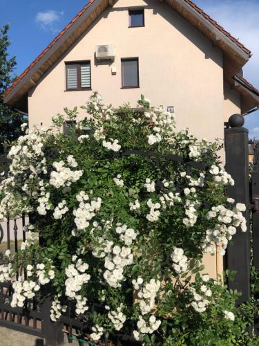 Imagen de la galería de Pokoje goscinne na Wodnej, en Lidzbark