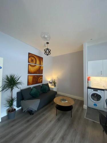 ein Wohnzimmer mit einem Sofa und einem Tisch in der Unterkunft City Centre Studio Apartment in Dublin