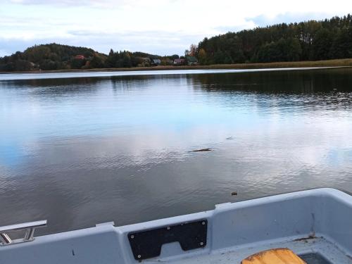 a boat on a lake with a view at Domek na Mazurach Leśne Zacisze in Ostaszewo