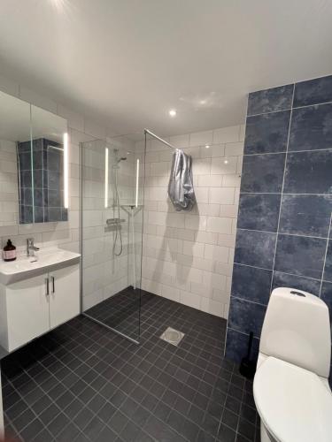 een badkamer met een douche, een toilet en een wastafel bij Furuvägen 11 D in Ullared