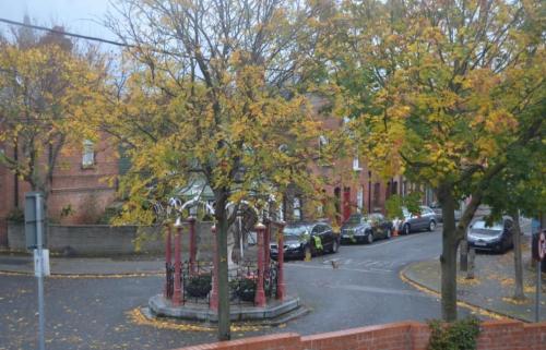 ダブリンにある20 Gray Streetの路上に車を止め、木々が立ち並ぶ通り