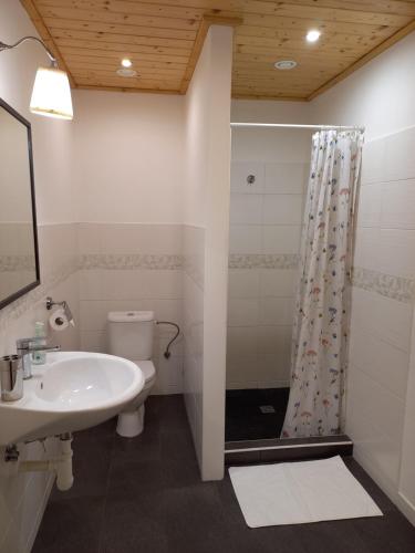 a bathroom with a toilet and a sink and a shower at penzion BABÍ VRCH in Frýdlant nad Ostravicí