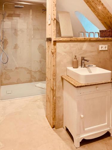 a bathroom with a sink and a shower at Landhaus Börmoos in Steinberg