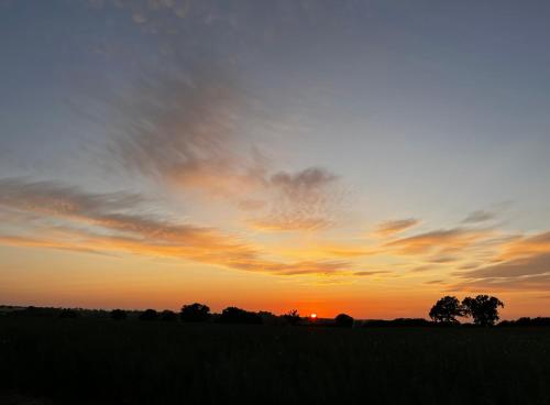 a sunset in a field with the sun setting at Gut Manderow an der Ostsee in Hohenkirchen