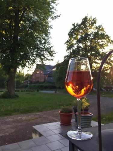 a glass of wine sitting on top of a table at Gut Manderow an der Ostsee in Hohenkirchen