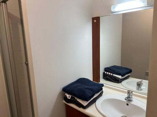 een badkamer met een wastafel en een spiegel bij Superbe studio près de la gare. in Toulouse