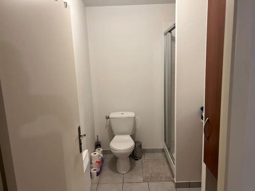 een kleine badkamer met een toilet en een douche bij Superbe studio près de la gare. in Toulouse