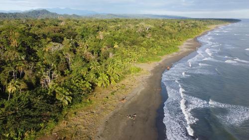 an aerial view of a beach with trees and the ocean at Pura Vida Vegana in Cahuita