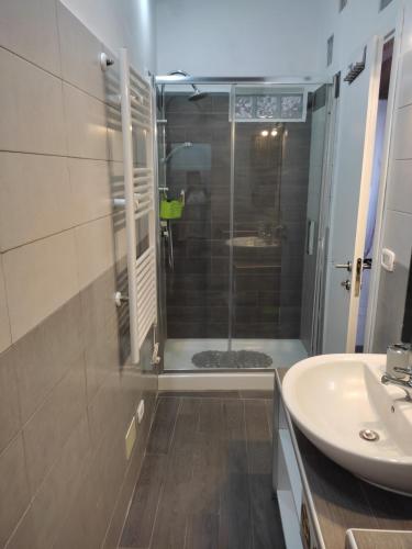 een badkamer met een douche en een wastafel bij CasaMicia in Gallese