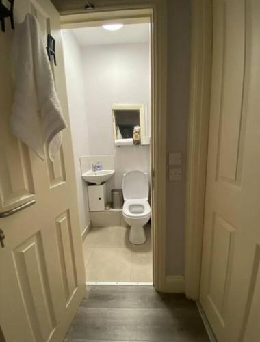 a small bathroom with a toilet and a sink at Cosy and central Abbey Street Apt in Dublin