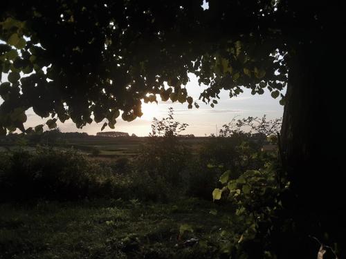 a silhouette of a tree with the sunset in the background at Villa commune PoldersView in Sluis