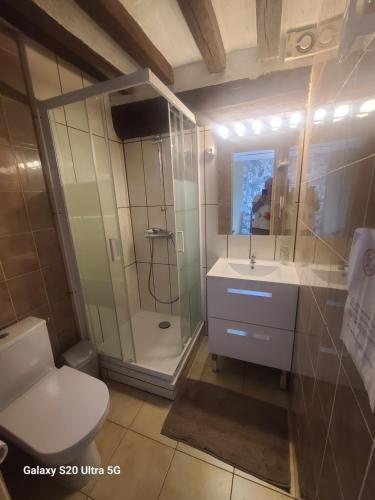 ein Bad mit einer Dusche, einem Waschbecken und einem WC in der Unterkunft Les chambrées du bac in Charly-sur-Marne