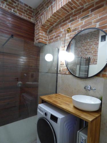 a bathroom with a sink and a mirror and a washing machine at Gingerbread Hostel in Toruń
