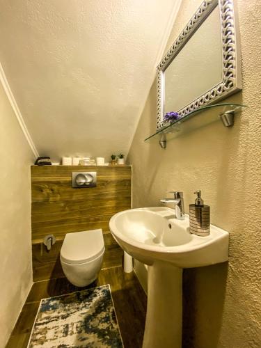 bagno con lavandino, servizi igienici e specchio di Apartment Mila a Sarajevo