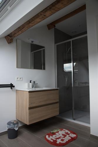 a bathroom with a sink and a shower at Vakantiewoning Den Appel in Dendermonde