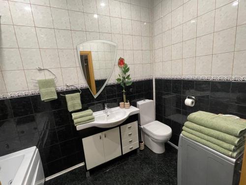 a bathroom with a sink and a toilet and a mirror at Quiet 1BR in Serene neighborhood in Rīga