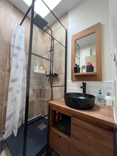 une salle de bain avec un lavabo et une douche dans l'établissement Studio quartier Batignolles, à Paris