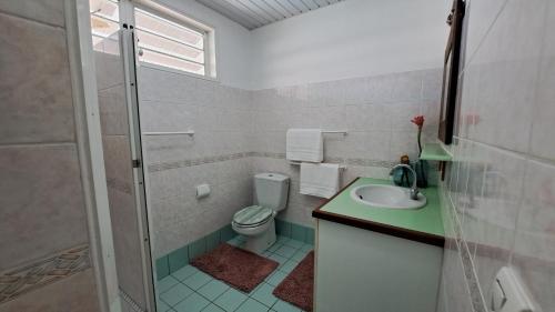 a bathroom with a toilet and a sink and a shower at TAHITI - Villa Fara in Papara