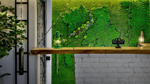 a wall covered in green moss with a wooden shelf at Hydeout Bakuriani in Bakuriani