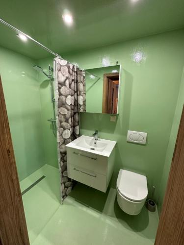 a green bathroom with a toilet and a sink at U Zgagi in Mikoszewo