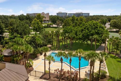 オーランドにあるHoliday Inn Orlando International Airport, an IHG Hotelのヤシの木が茂るプールの空中を望む