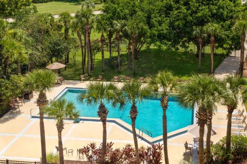 an overhead view of a swimming pool with palm trees at Holiday Inn Orlando International Airport, an IHG Hotel in Orlando