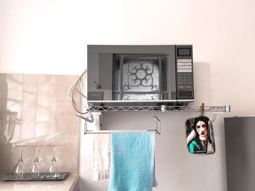 巴卡拉爾的住宿－Casa Momo Bacalar，挂在微波炉上的女人的照片