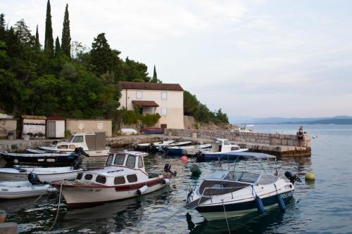 a group of boats are docked in the water at Apartment SeaShell in Jadranovo