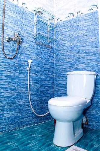 a blue bathroom with a toilet and a shower at Palm Tree Villa Nungwi in Nungwi