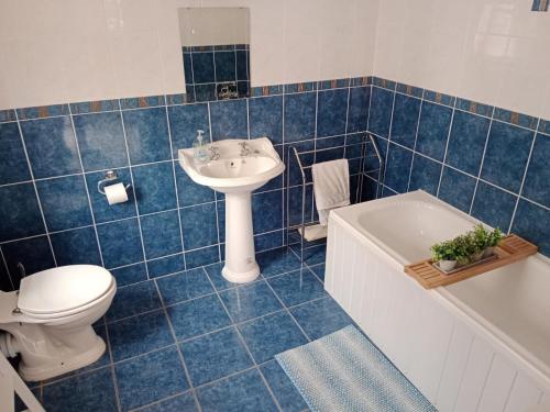 W wyłożonej niebieskimi kafelkami łazience znajduje się toaleta i umywalka. w obiekcie Willowfarmhouse w mieście Milford