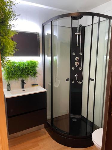 een badkamer met een douche en een wastafel bij « Aux bonheurs Landais » in Linxe