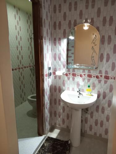 uma casa de banho com um lavatório, um espelho e um WC. em Résidence Jannat em Uarzazate