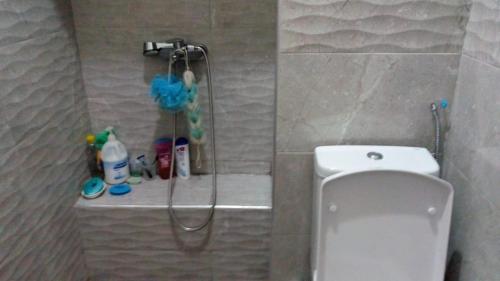 テマラにあるAppartement 05のバスルーム(シャワー、トイレ付)