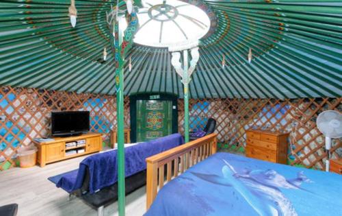 TurriffにあるColourful Mongolian Yurt enjoy a new experienceのテント、ベッド、テレビが備わる客室です。