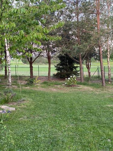 a park with trees and a field of grass at Ignacówka in Kobyla Góra
