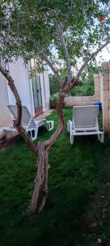 Jardín al aire libre en Residence Salento