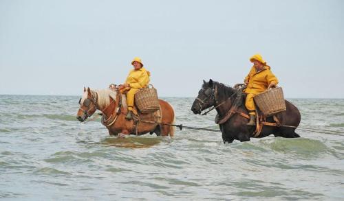 Dos personas están montando caballos en el agua en LoftBeach, en Koksijde