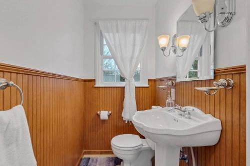 a bathroom with a sink and a toilet and a window at Renovated House In Buena Vista in Winston-Salem
