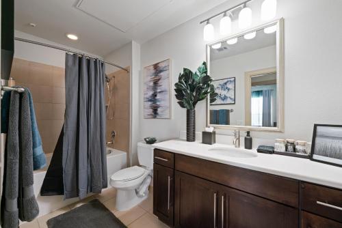 a bathroom with a sink and a toilet and a mirror at Packhouse 3 in Houston