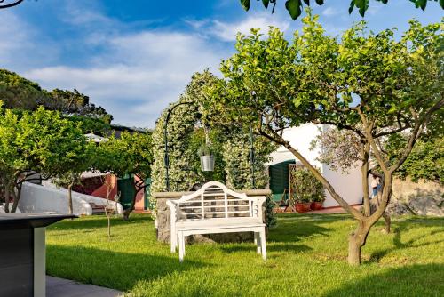 a white bench sitting in the grass next to a tree at Villa Conchiglia blu con piscina in Ischia