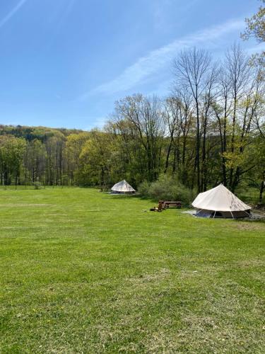 two tents in a field with trees in the background at My Friends Place in Oneonta