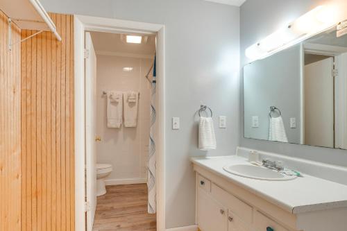 a bathroom with a sink and a toilet and a mirror at Nifty Fayetteville Vacation Rental Near New River! in Fayetteville