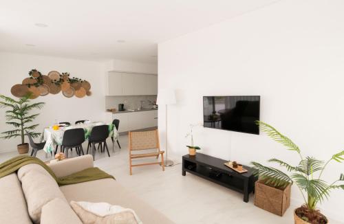 Μια τηλεόραση ή/και κέντρο ψυχαγωγίας στο Sun House - Alojamento Local - Ponte de Lima