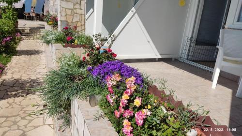 Φωτογραφία από το άλμπουμ του Apartman i sobe Martina σε Senj