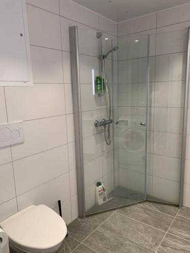 W łazience znajduje się przeszklony prysznic i toaleta. w obiekcie Leilighet i Trondheim w mieście Trondheim