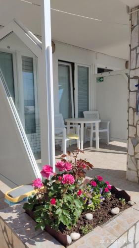 Φωτογραφία από το άλμπουμ του Apartman i sobe Martina σε Senj