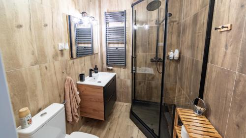 W łazience znajduje się prysznic, toaleta i umywalka. w obiekcie Dom Pod Dębem Agroturystyka w Konradowie